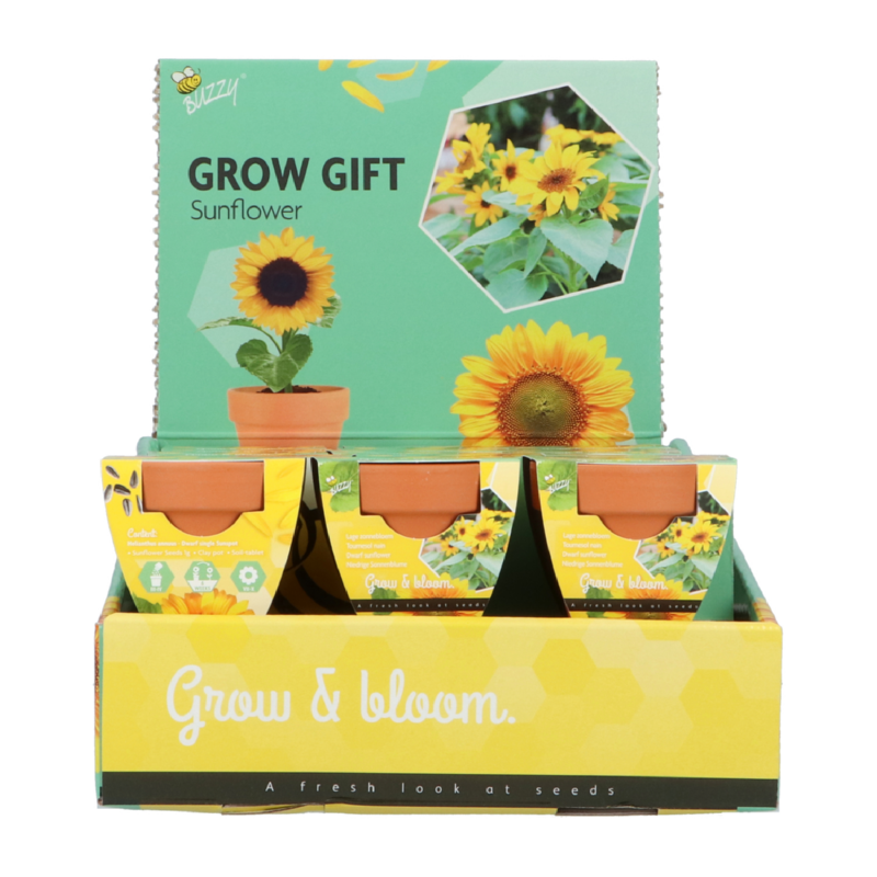 Buzzy® Grow Gifts Sonnenblume 30st. in display