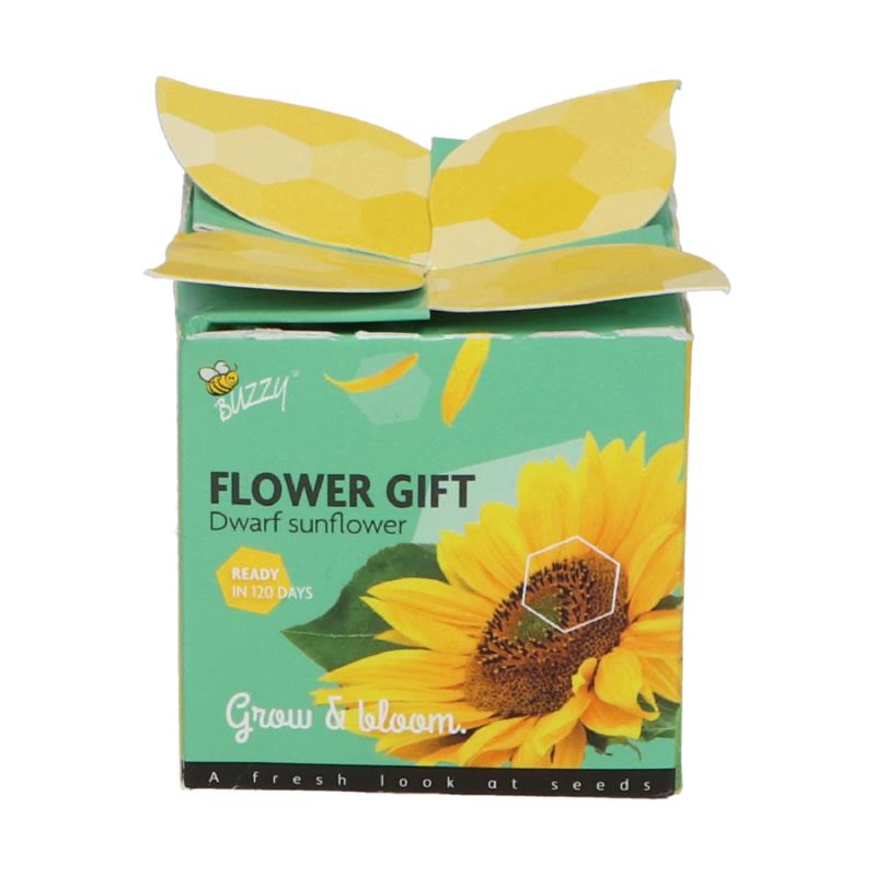 Buzzy® Display Flower Gift Sonnenblume
