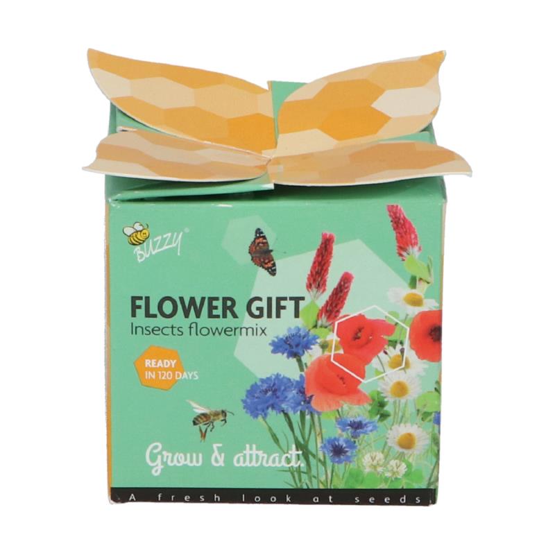 Buzzy® Display Flower Gift Insekten Blumen Misschung