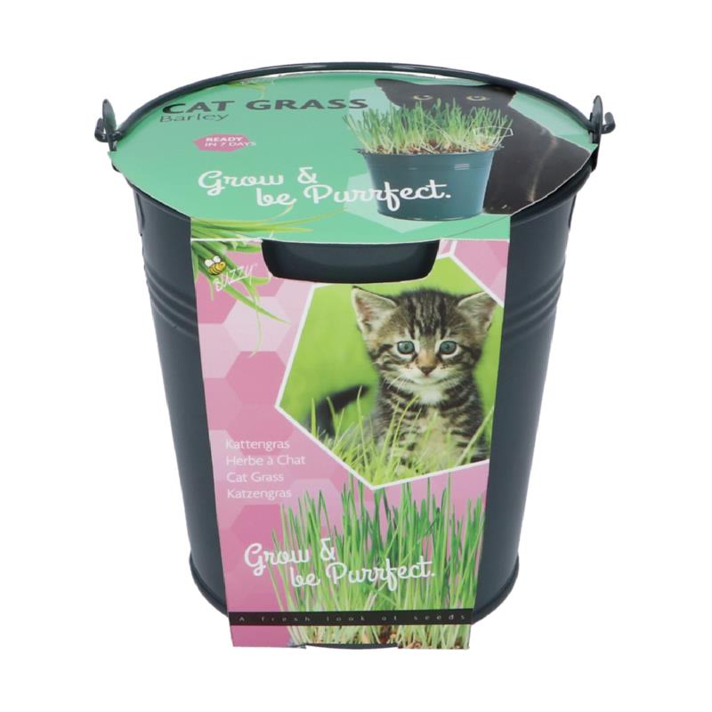 Buzzy® Zinc Bucket Catgrass