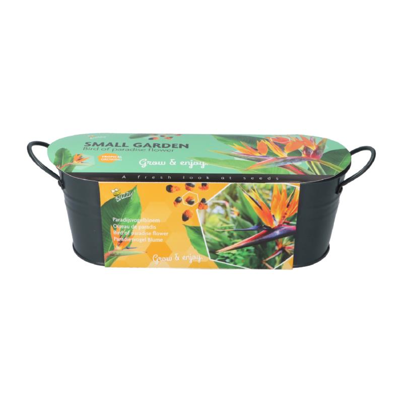 Buzzy® Wanne Small Garden Birds of Paradise