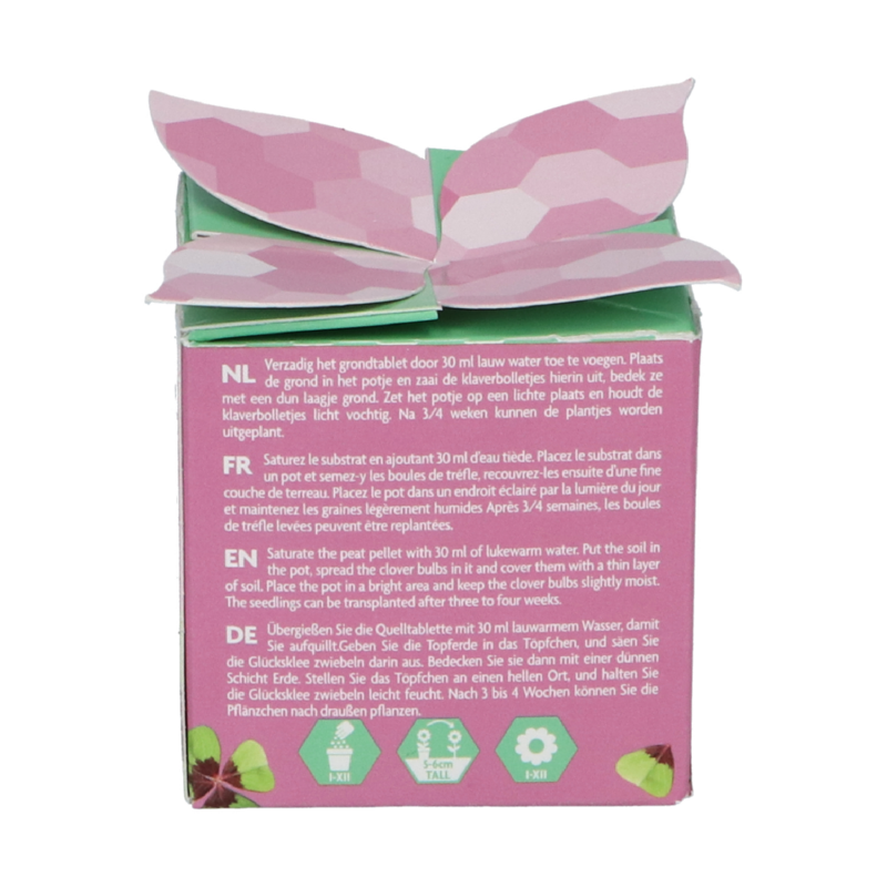 Buzzy® Display Flower Gift Lucky Clover