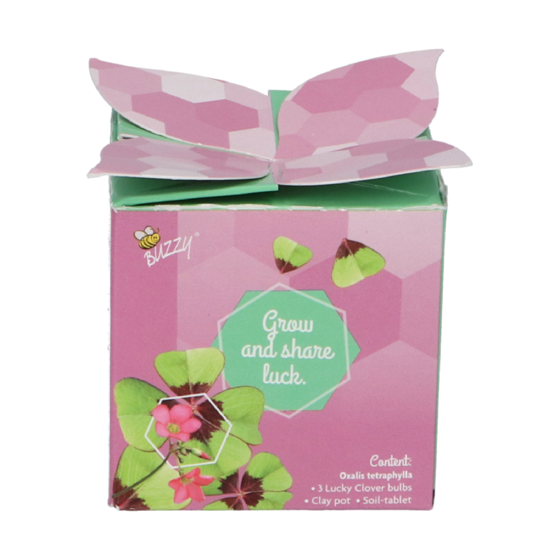 Buzzy® Display Flower Gift Lucky Clover