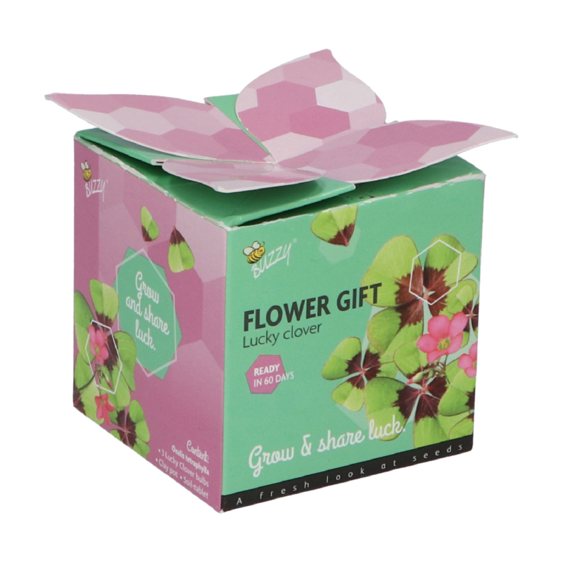 Buzzy® Display Flower Gift Lucky Clover