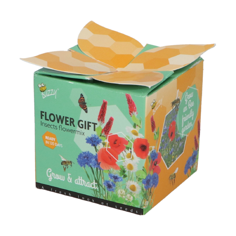 Buzzy® Display Flower Gift Insectes Melange