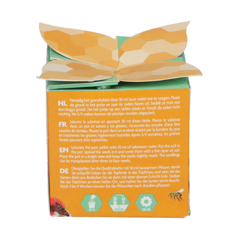 Buzzy® Display Flower Gift Insectes Melange