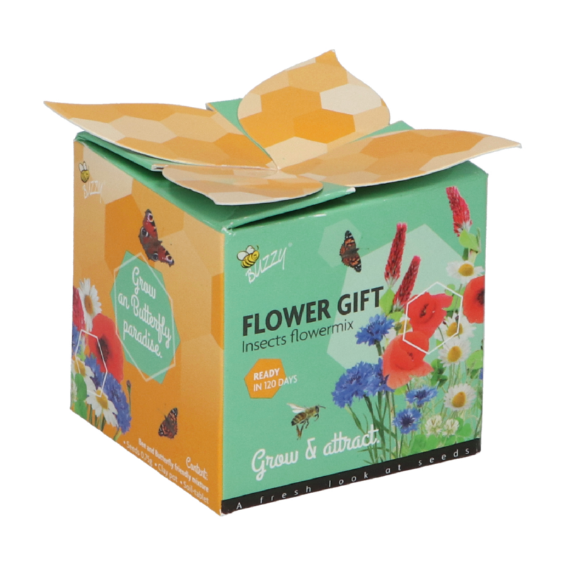 Buzzy® Display Flower Gift Insectes Melange