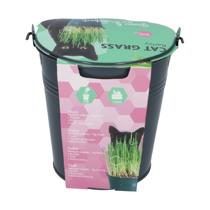 Buzzy® Zinc Bucket Catgrass