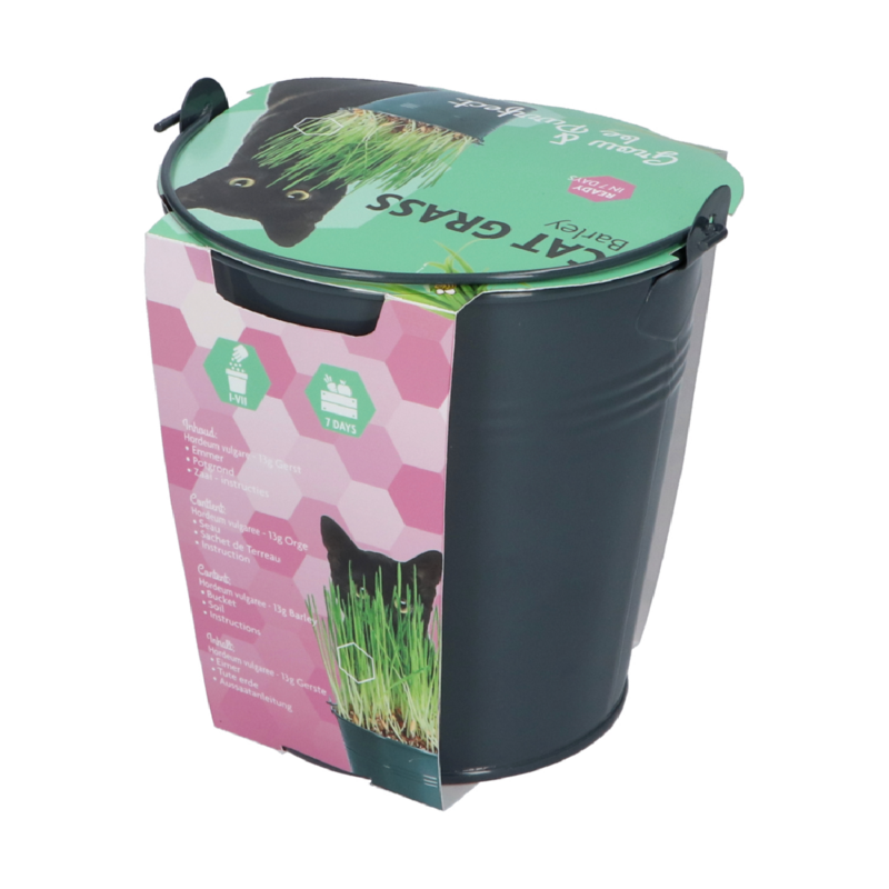 Buzzy® Zinc Bucket Catgrass
