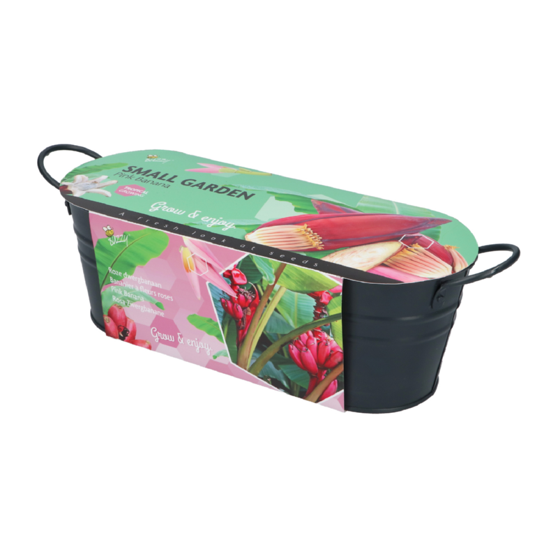 Buzzy® Jardinières Antraciet Banana