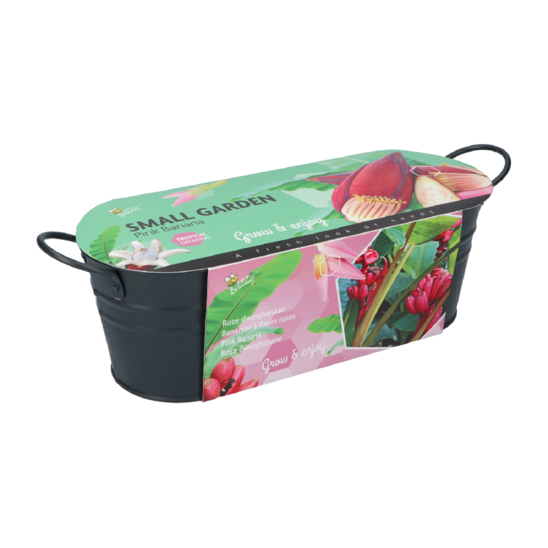 Buzzy® Jardinières Antraciet Banana