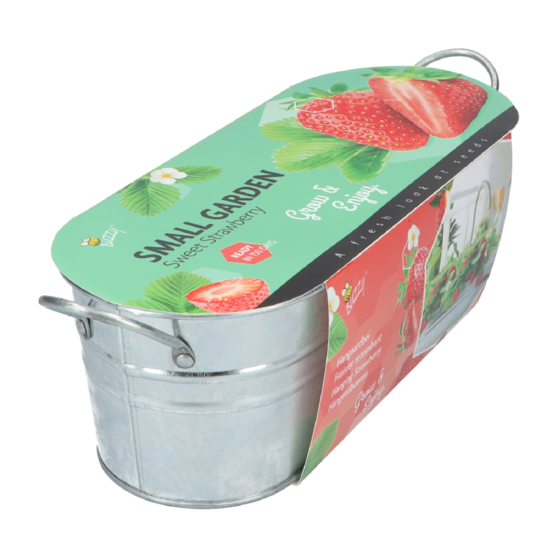Buzzy® Small Garden Sweet Strawberry