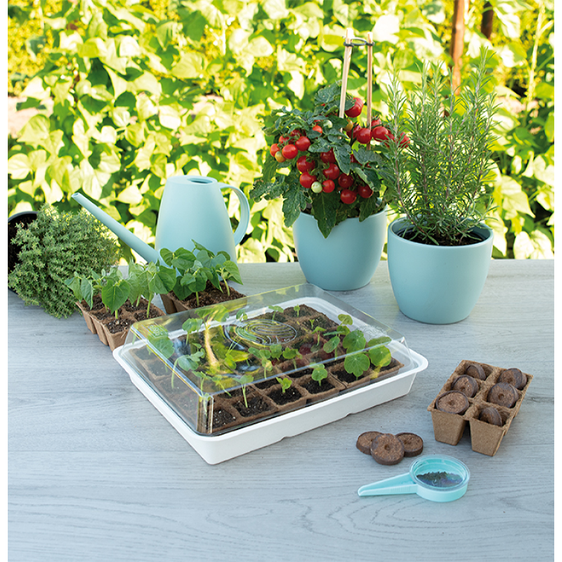 SOGO Display Bio Seedtray + 30 pots (24st)