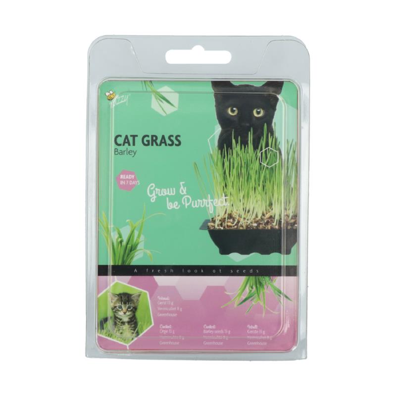 Buzzy® Catgrass