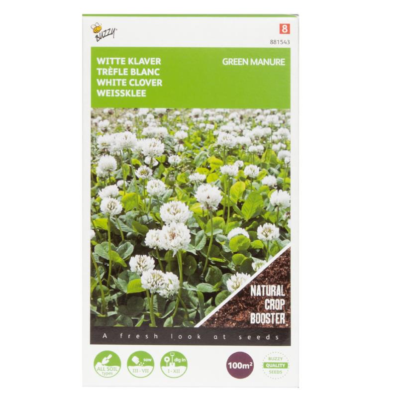 Buzzy® Green Manure White Clover 100g
