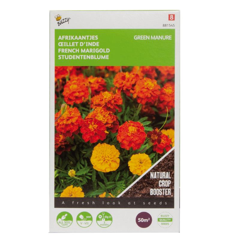 Buzzy® Cover Crop Tagetes 50g