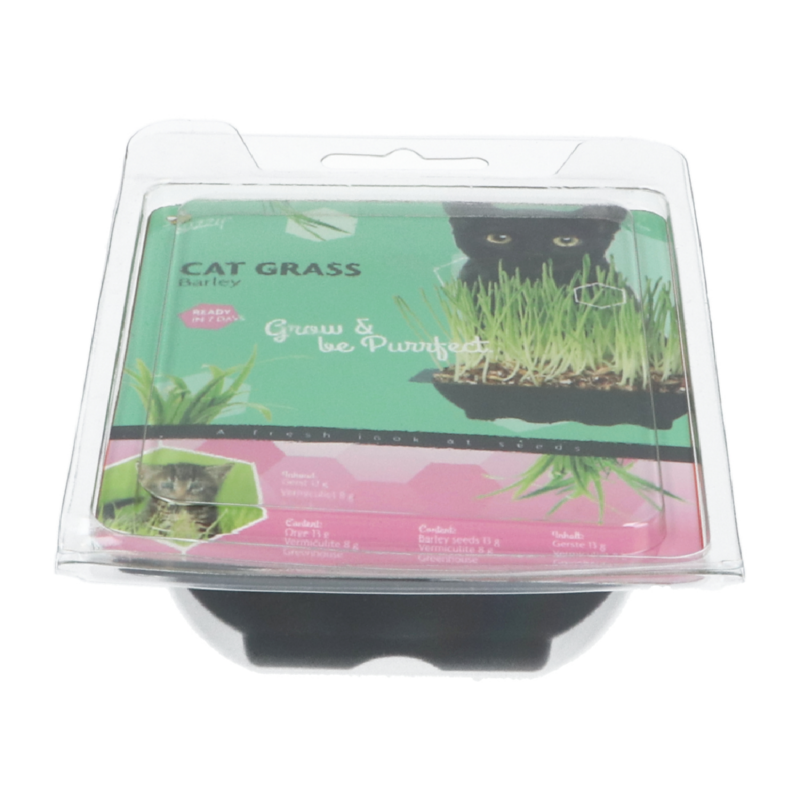 Buzzy® Catgrass