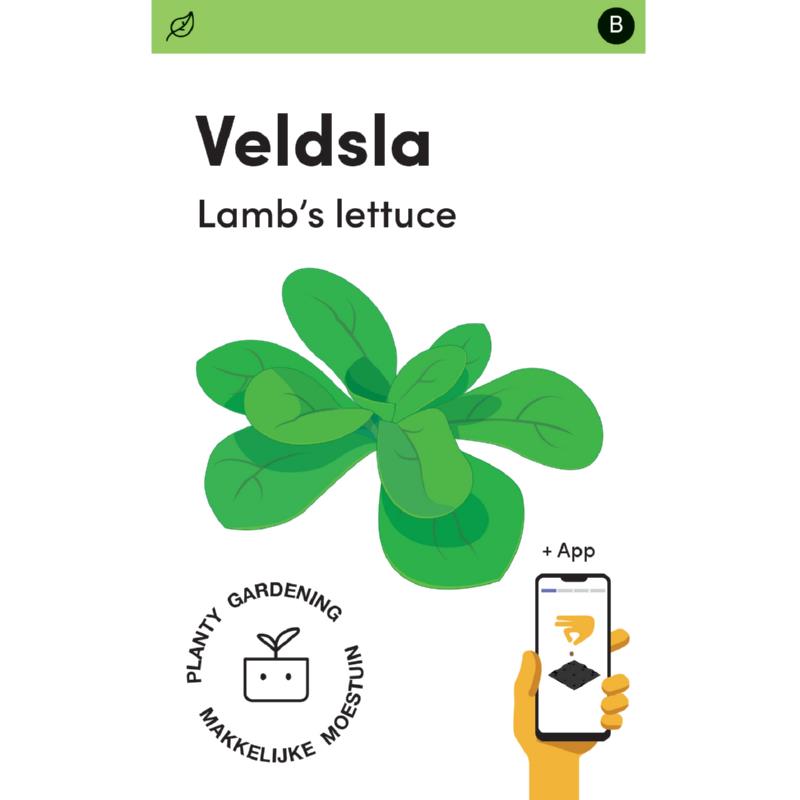 Makkelijke Moestuin Veldsla Grote Noordhollandse