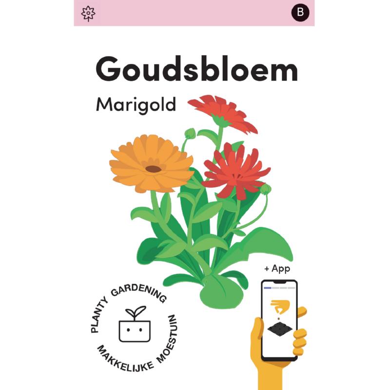 Makkelijke Moestuin Calendula, Goudsbloem Pacific Beauty