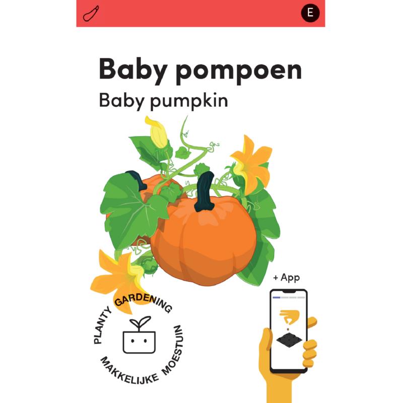 Makkelijke Moestuin Pompoen Baby Bear