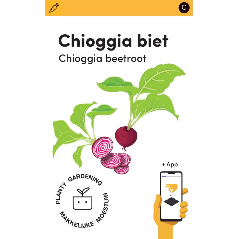 Makkelijke Moestuin Bieten Chioggia