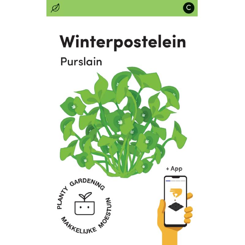 Makkelijke Moestuin Winter Postelein