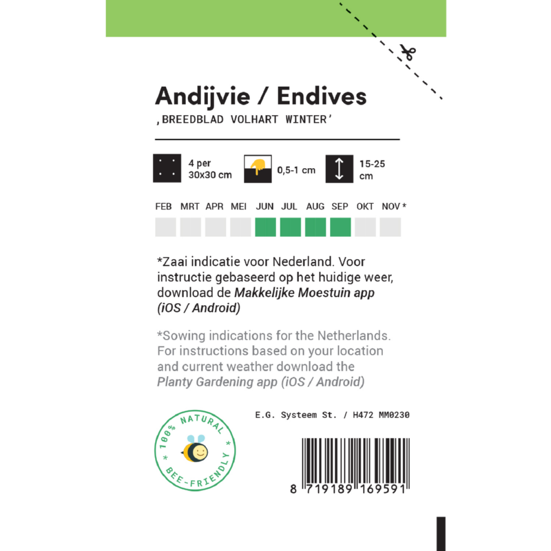 Makkelijke Moestuin Andijvie Breedblad Volhart Winter