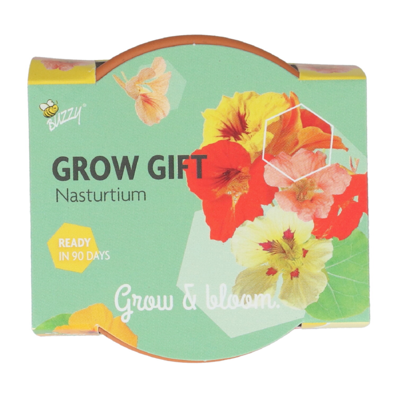 Buzzy® Grow Gifts Kapuzinerkresse 30st. in display