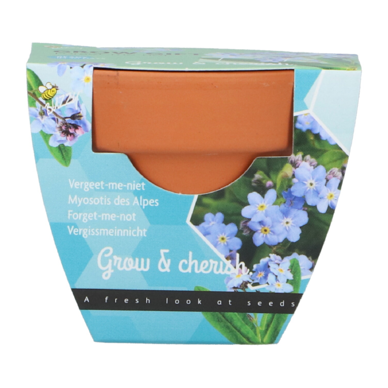 Buzzy® Grow Gifts Vergissmeinnicht 30st. in display