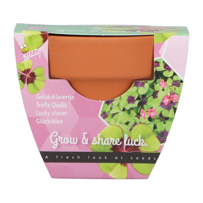 Buzzy® Grow Gifts  Lucky Clover 30st.  display