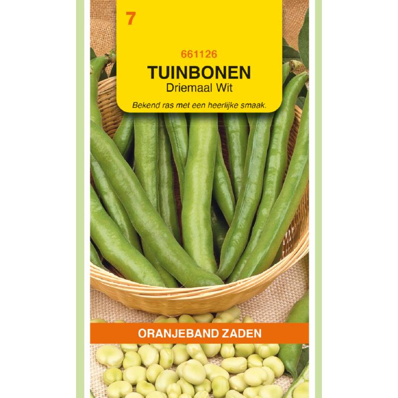 Oranjeband® Broad Beans Threefold White, 250g