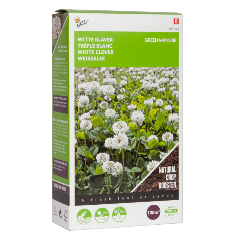 Buzzy® Green Manure White Clover 100g