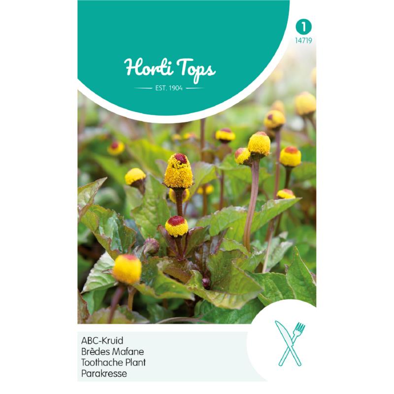 Horti Tops® Spilanthes, Toothache Plant