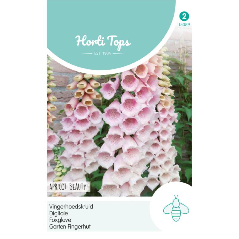 HT Digitalis, Vingerhoedskruid Apricot Beauty