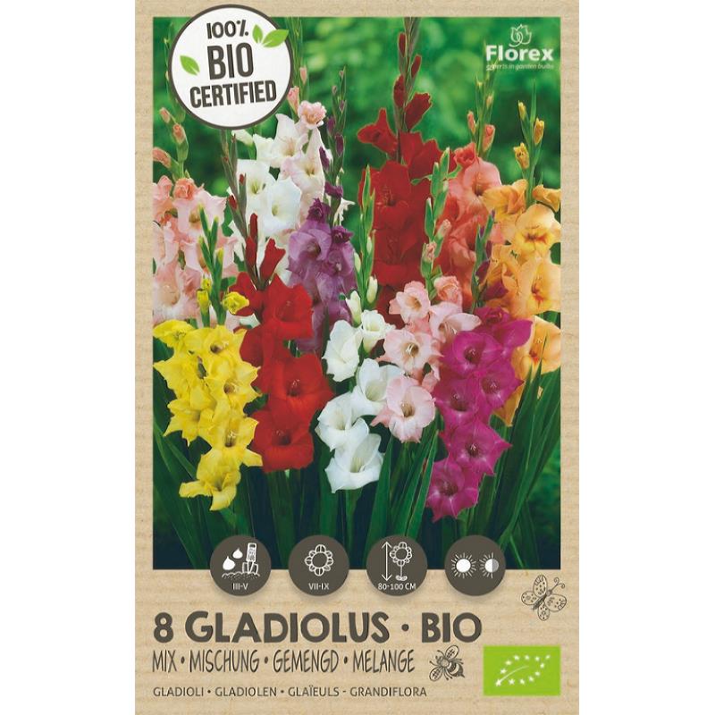 Bio Gladiool Grandiflora mix 6st.