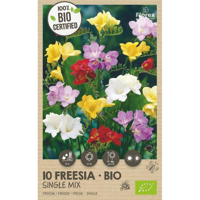 Bio Freesia Single Mix 5/6 10pcs.