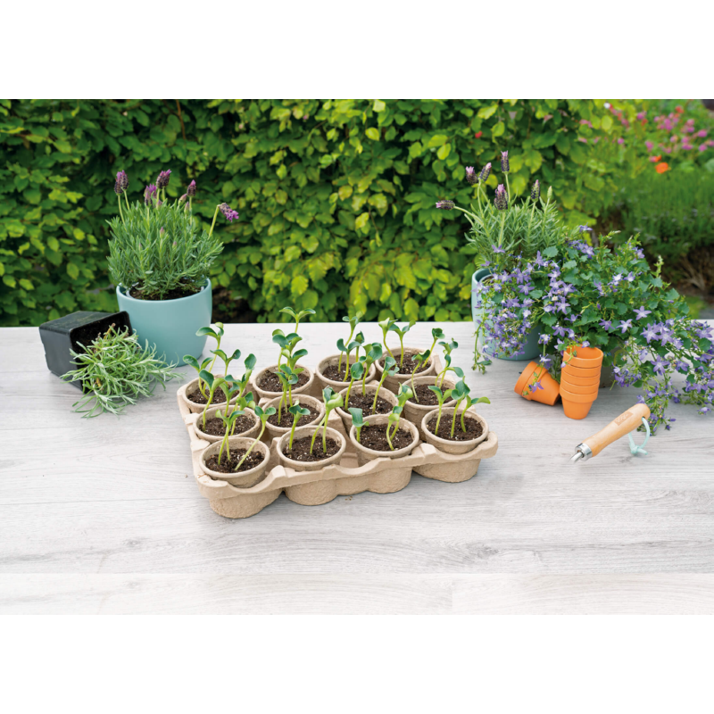 SOGO Eco kweektray incl. 12 paperpots 9cm
