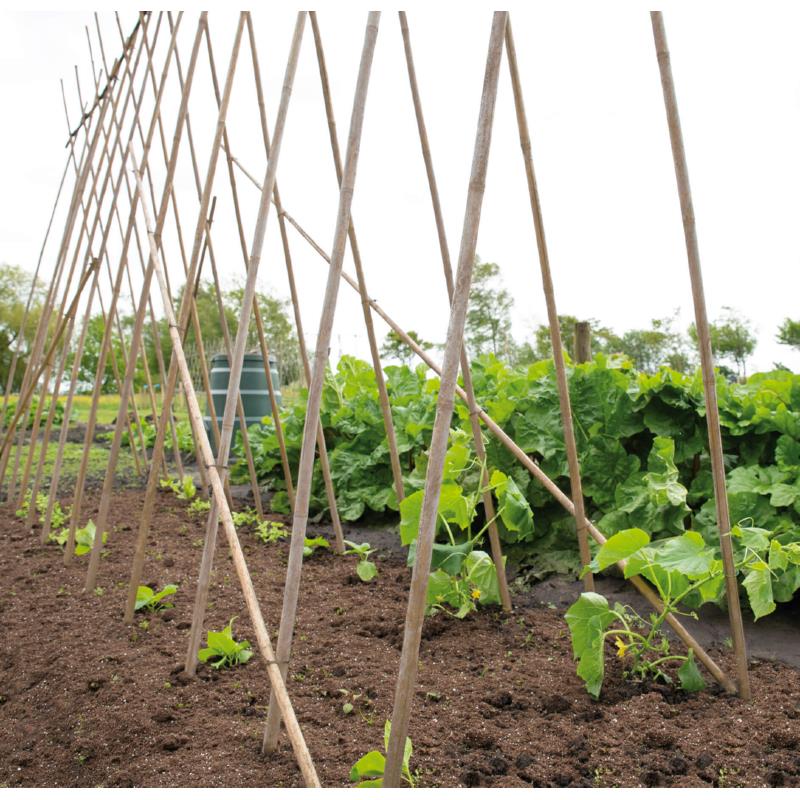 SOGO Tonkinstokken 240cm 18/20  10st