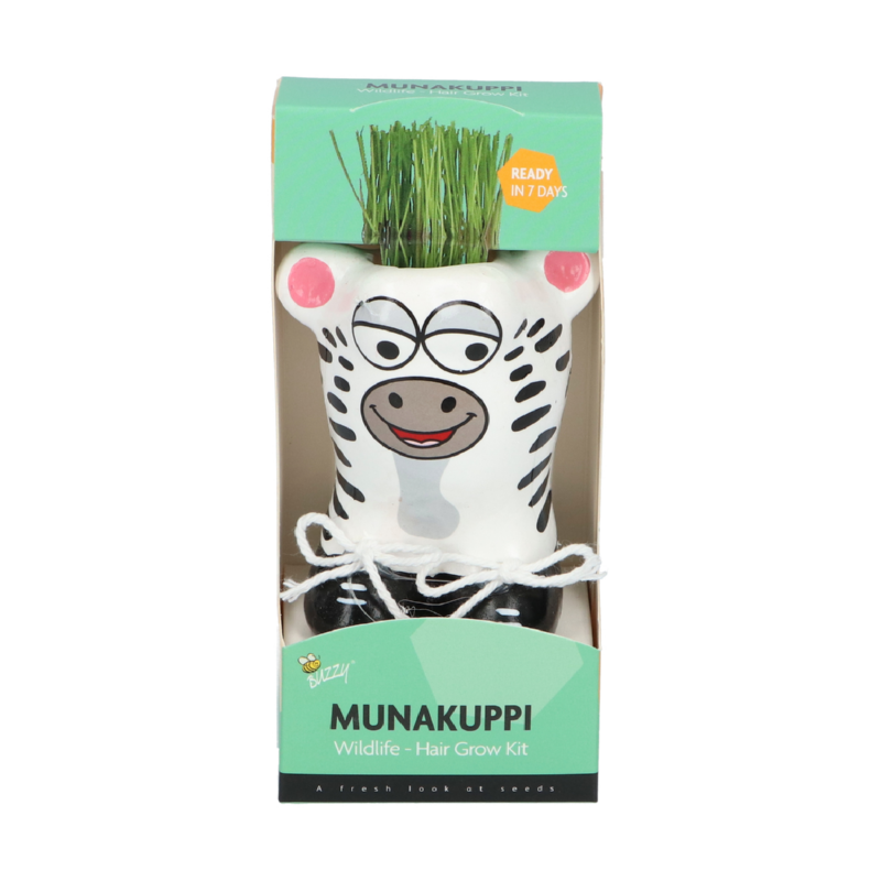 Display Buzzy® Wildlife Munakuppi 20 pcs