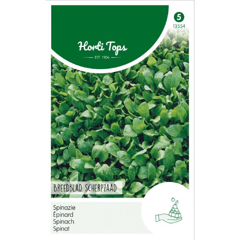 Spinach Prickly Seeded, 100g
