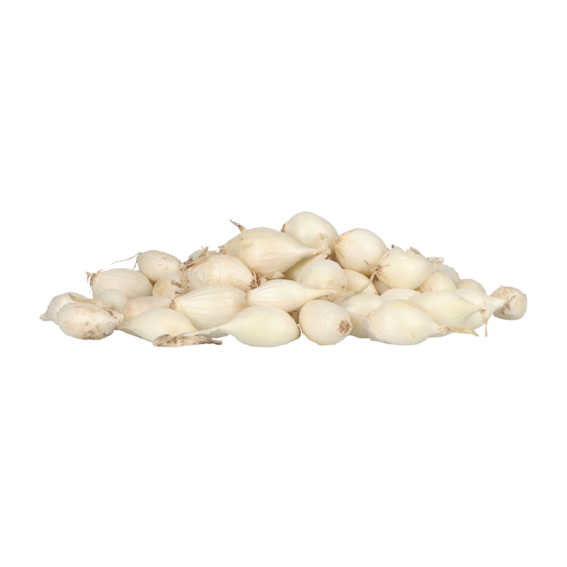 Onion Snowball 250g