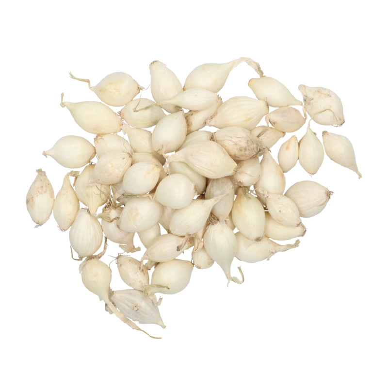 Onion Snowball 250g