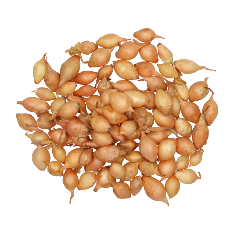 Plantuien Setton met capper 250g