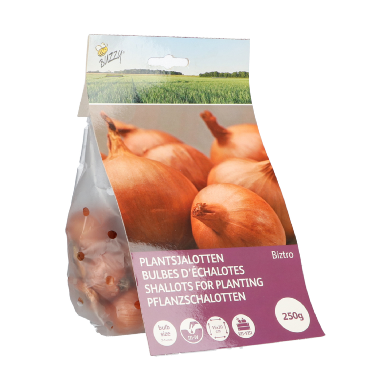 Shallots Biztro 250g