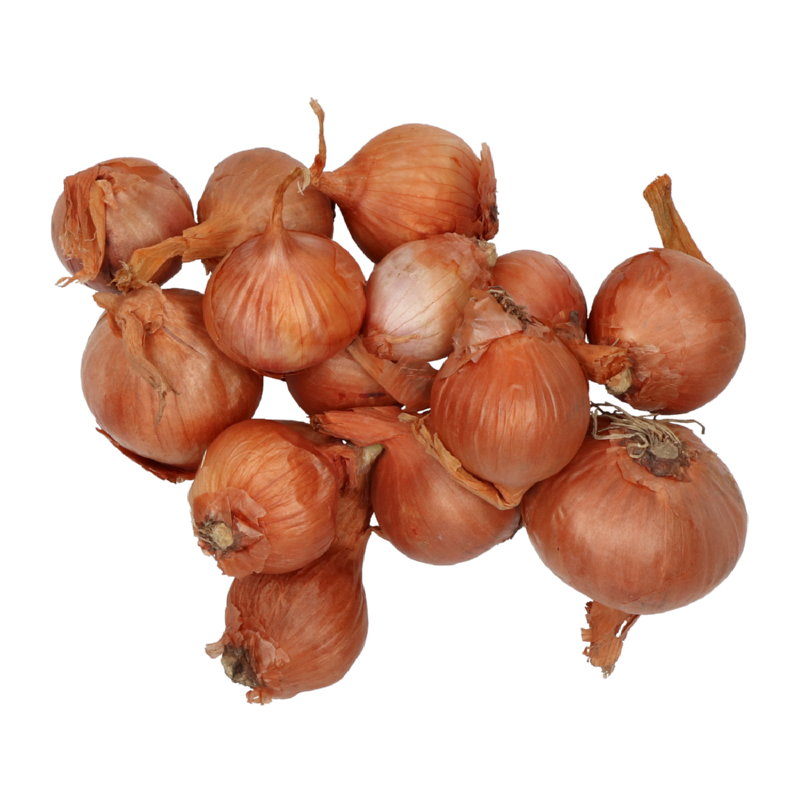 Shallots Biztro 250g