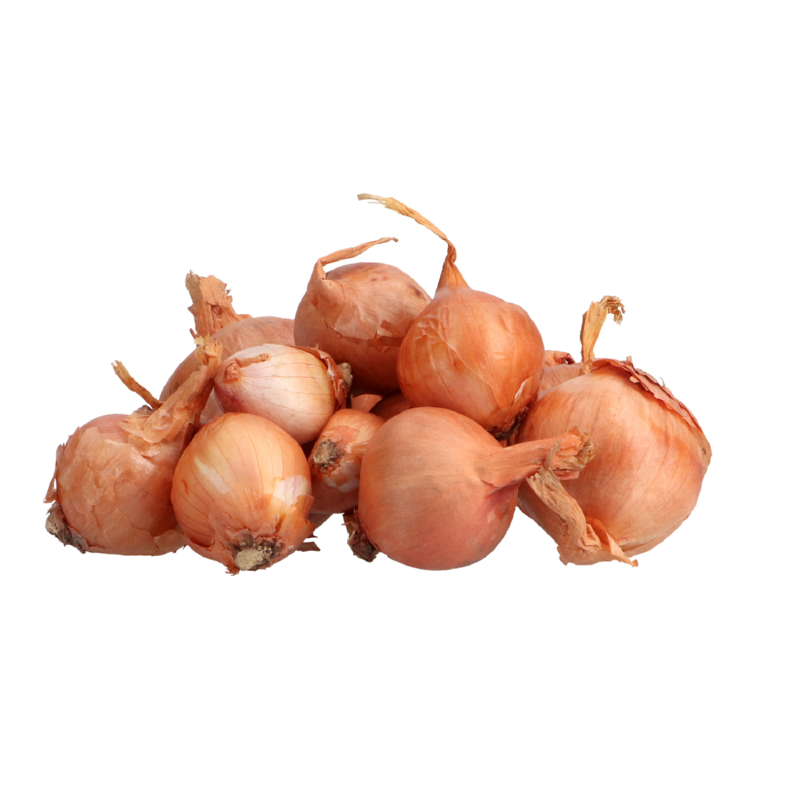 Shallots Biztro 250g