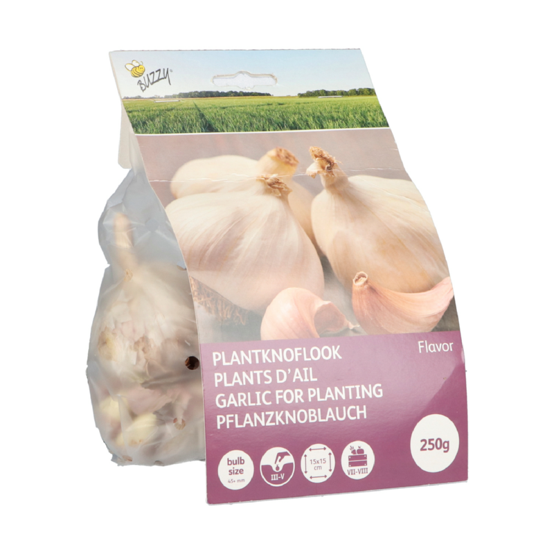 Garlic Flavor 250g
