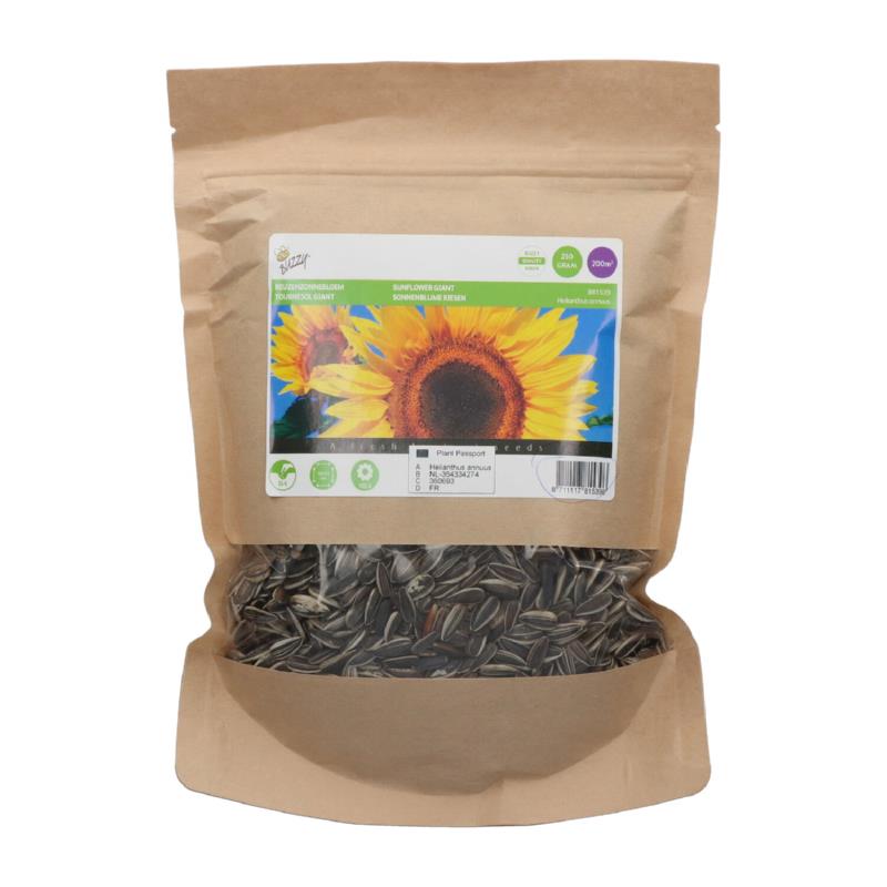 Helianthus anuus giganteus 250g