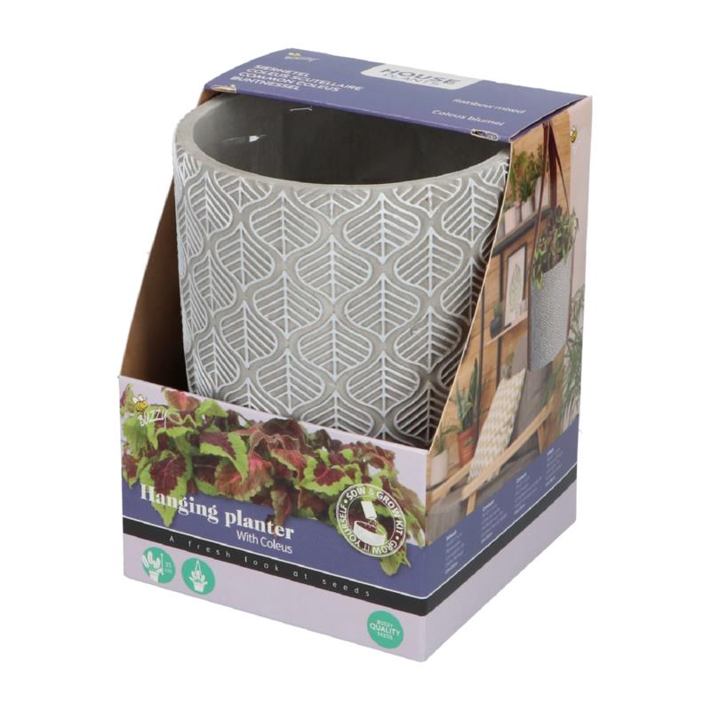 Buzzy® House Plants Hanging Plant Pot with Coleus seeds