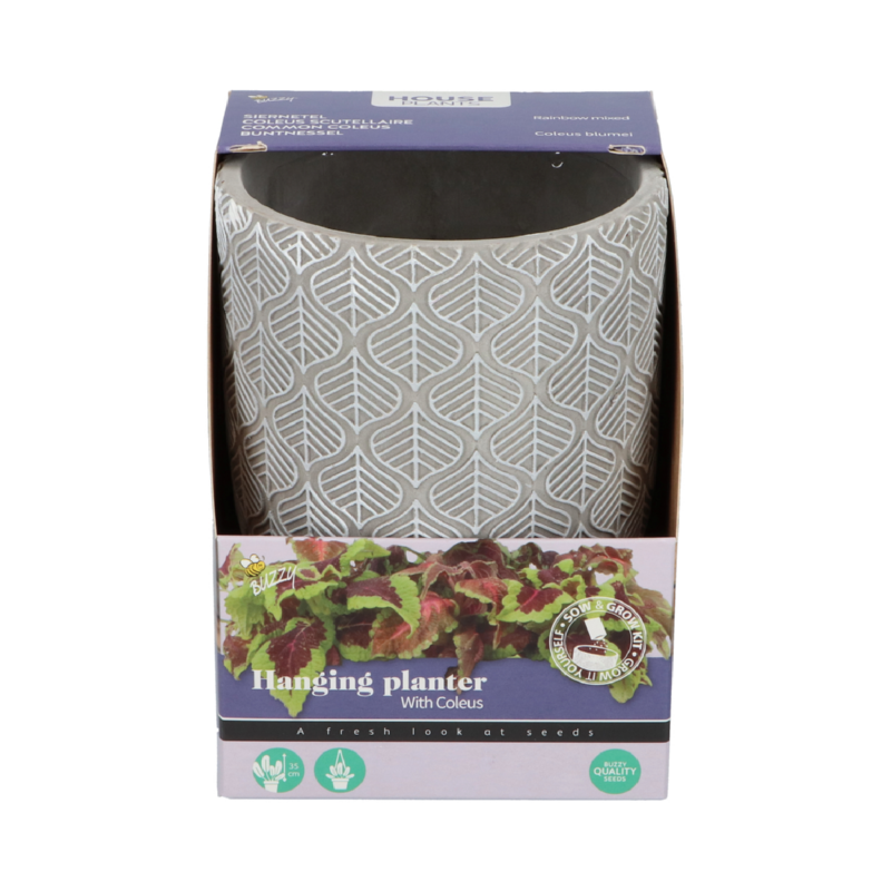 Buzzy® House Plants Coleus + hanging flower pot